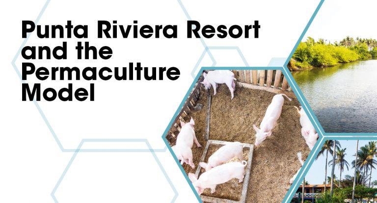 Punta Riviera Resort and the Permaculture Model