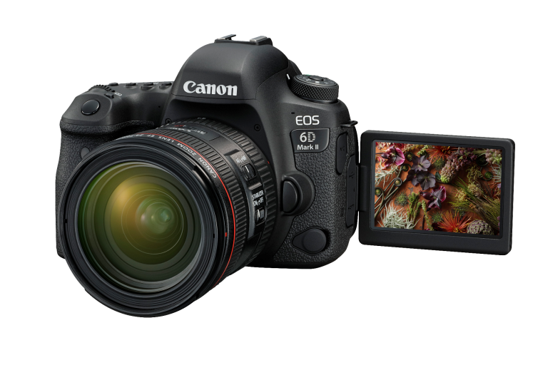 Capture Powerful Narratives Anywhere with the Canon EOS 6D Mark II