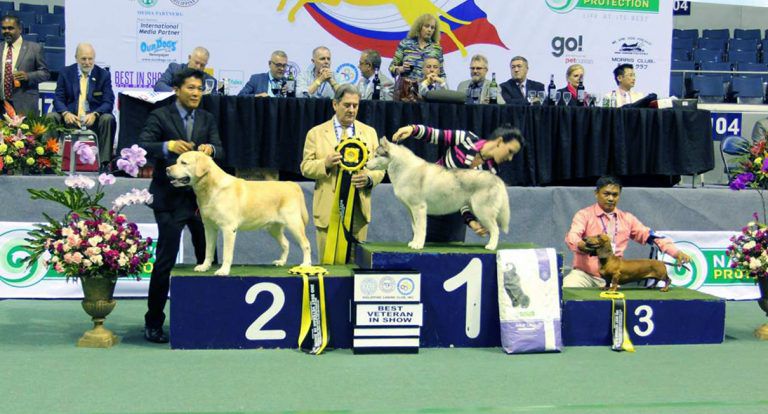 Smart Araneta Coliseum Hosts Philippine Circuit 2018
