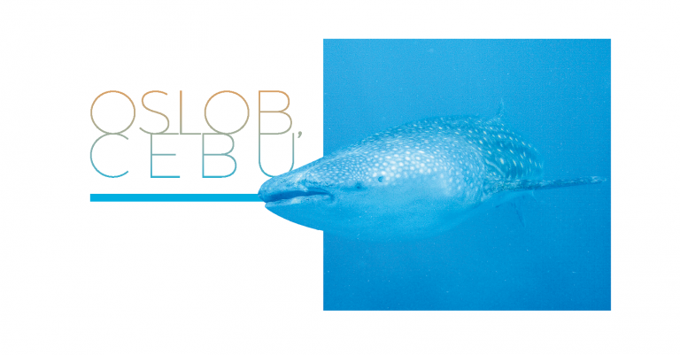 Travel Destination: Oslob, Cebu