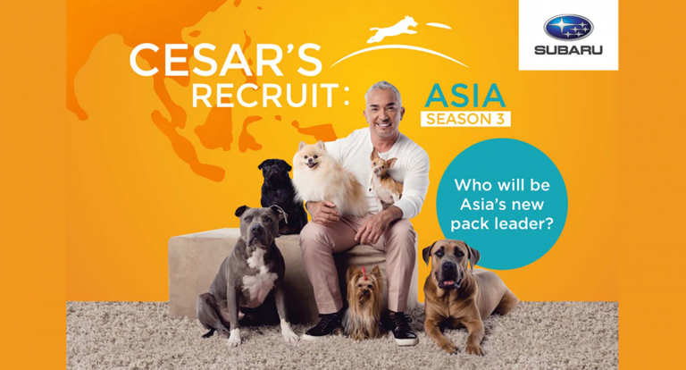 Cesar Millan Returns to Recruit Asia’s New Pack Leader