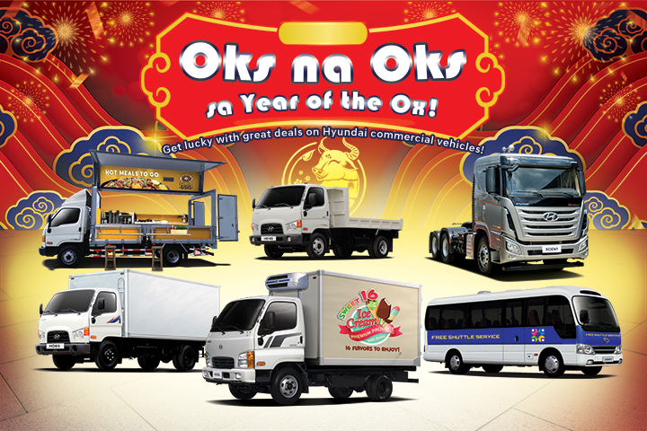 Hyundai commercial vehicles