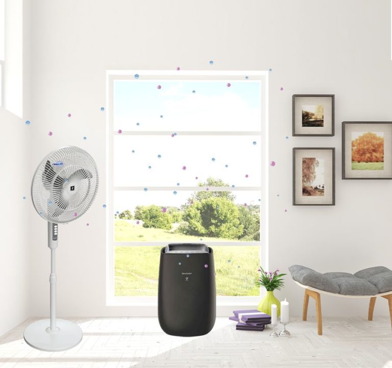 plasmacluster ion