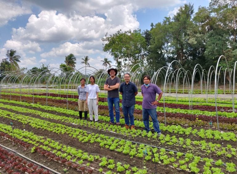 UMÁ app agri-trading platform brings farms and entrepreneurs together