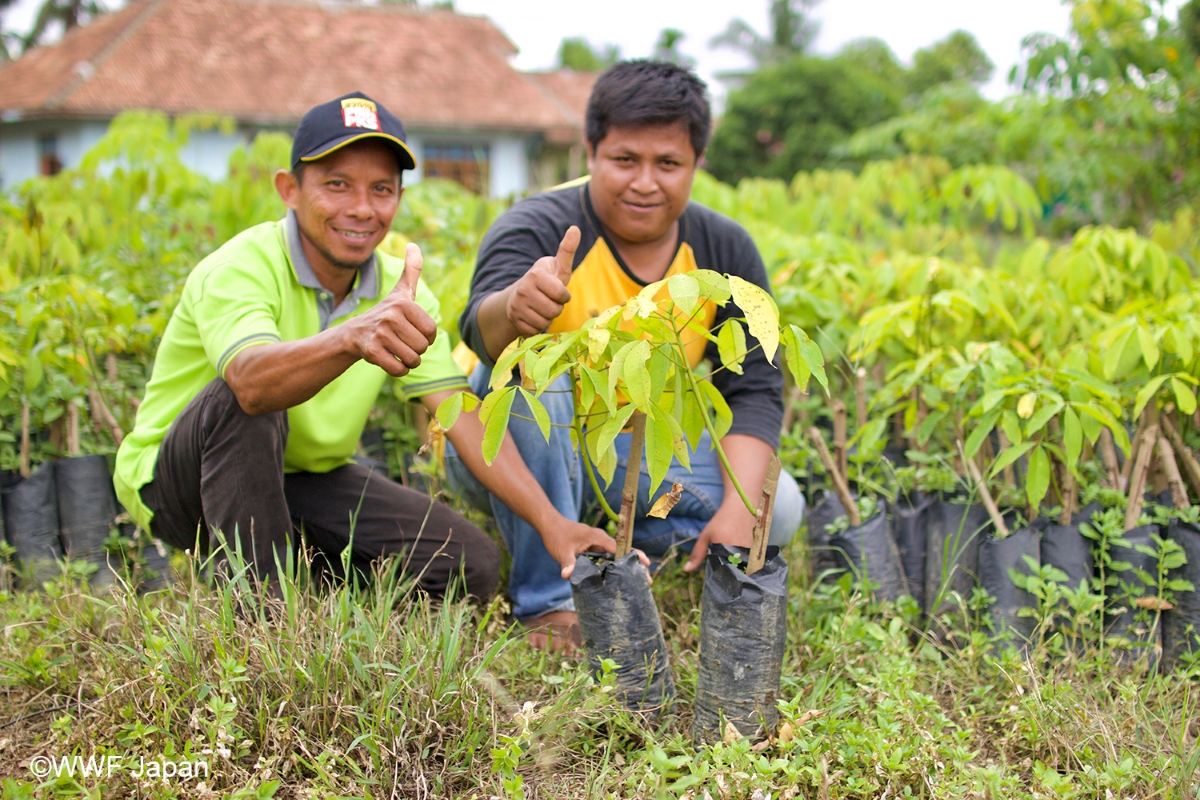 Epson and WWF partner for forest restoration • Gadgets Magazine - Vimarsana News
