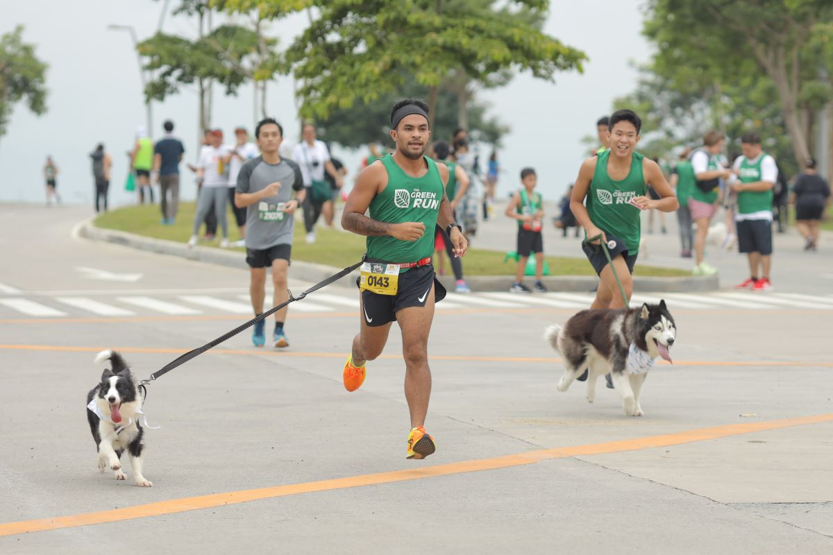 Run for fun, fitness, pets, and the environment at Vermosa Green Run