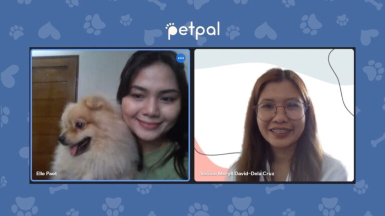 917Ventures’ PetPal targets expands access to essential pet care for Filipinos