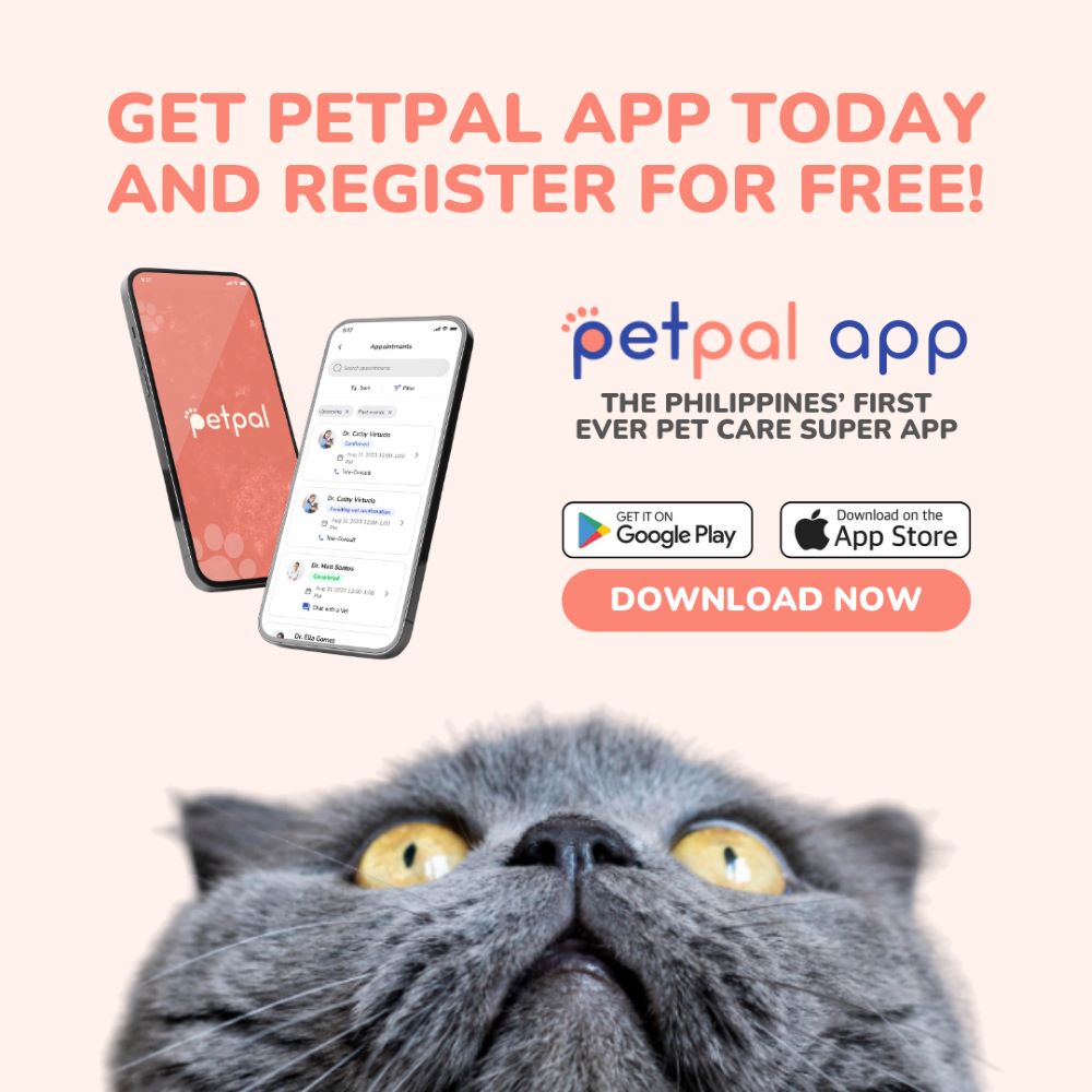 PetPal launches PH's first all-in-one pet care super app  • Gadgets Magazine - Vimarsana News