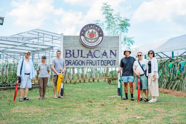 Cultivating change: How home-grown Bulacan Dragon Fruit Depot is gaining international success