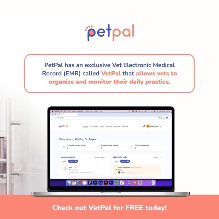 PetPal empowers Filipino vets with EMR Portal