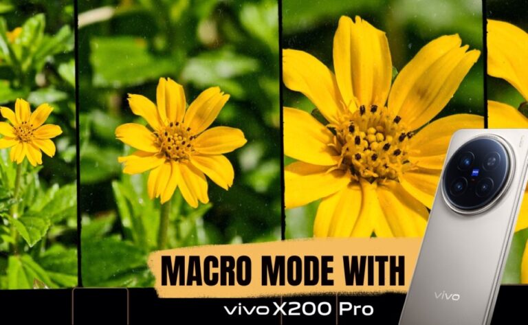 vivo X200 Pro: Flawless macro photos to get closer to nature