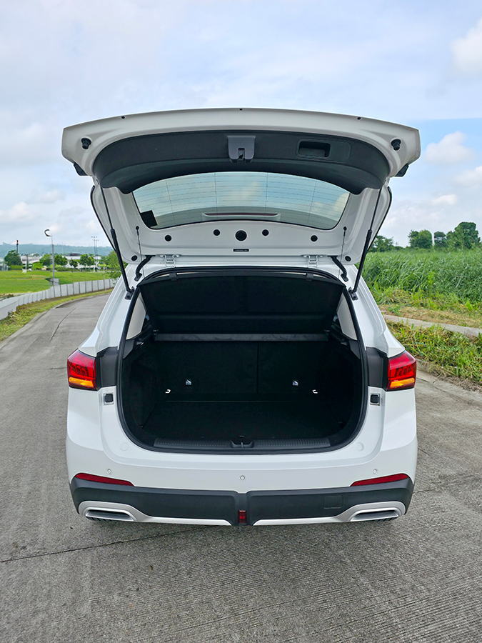 ZS Hybrid