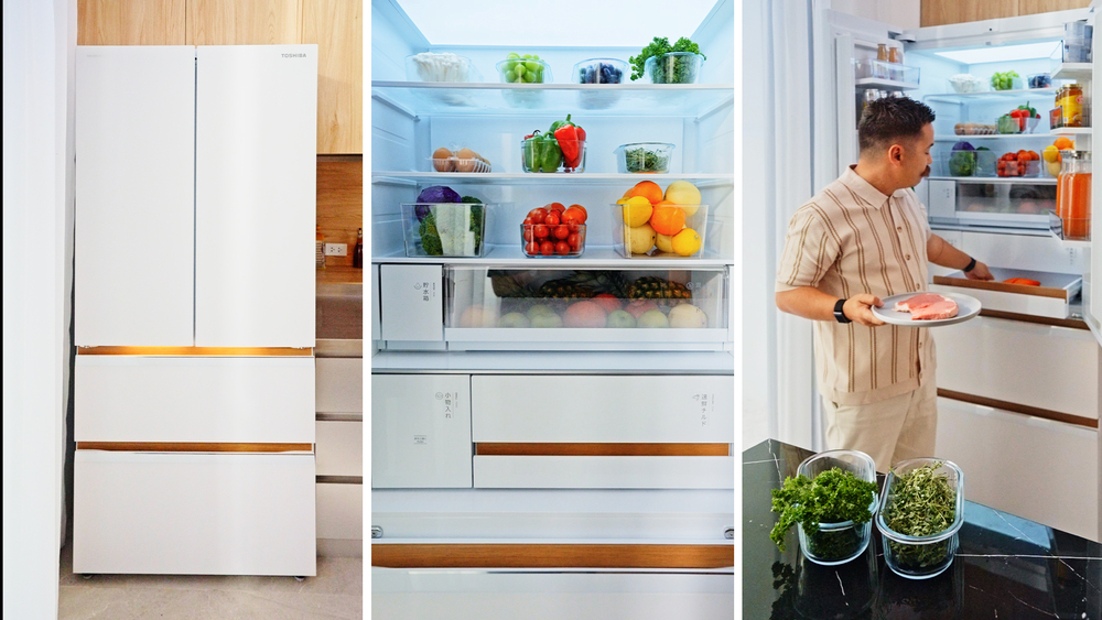 Toshiba Japandi Refrigerator